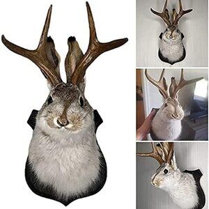 Jackalope Mount, Easter Bunny Wall Decor, Resin Deer Head Animal Wall Mount